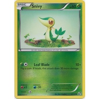 Snivy 2/114 BW Base Set Reverse Holo Common Pokemon Card NEAR MINT TCG