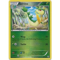 Servine 3/114 BW Base Set Reverse Holo Uncommon Pokemon Card NEAR MINT TCG