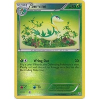 Servine 4/114 BW Base Set Reverse Holo Uncommon Pokemon Card NEAR MINT TCG