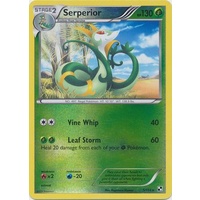 Serperior 5/114 BW Base Set Reverse Holo Rare Pokemon Card NEAR MINT TCG