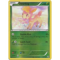 Deerling 13/114 BW Base Set Reverse Holo Common Pokemon Card NEAR MINT TCG