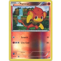 Pansear 21/114 BW Base Set Reverse Holo Common Pokemon Card NEAR MINT TCG