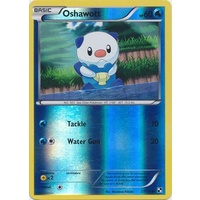 Oshawott 27/114 BW Base Set Reverse Holo Common Pokemon Card NEAR MINT TCG