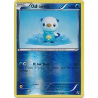 Oshawott 28/114 BW Base Set Reverse Holo Common Pokemon Card NEAR MINT TCG