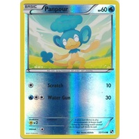 Panpour 33/114 BW Base Set Reverse Holo Common Pokemon Card NEAR MINT TCG
