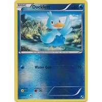 Ducklett 36/114 BW Base Set Reverse Holo Common Pokemon Card NEAR MINT TCG