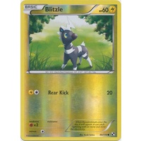 Blitzle 40/114 BW Base Set Reverse Holo Common Pokemon Card NEAR MINT TCG