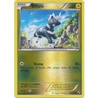 Blitzle 41/114 BW Base Set Reverse Holo Common Pokemon Card NEAR MINT TCG