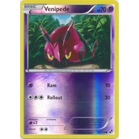 Venipede 52/114 BW Base Set Reverse Holo Common Pokemon Card NEAR MINT TCG