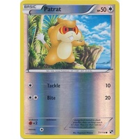 Patrat 77/114 BW Base Set Reverse Holo Common Pokemon Card NEAR MINT TCG