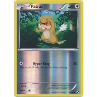 Patrat 78/114 BW Base Set Reverse Holo Common Pokemon Card NEAR MINT TCG