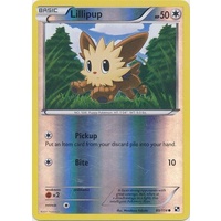 Lillipup 80/114 BW Base Set Reverse Holo Common Pokemon Card NEAR MINT TCG