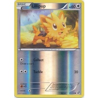 Lillipup 81/114 BW Base Set Reverse Holo Common Pokemon Card NEAR MINT TCG