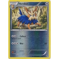 Herdier 82/114 BW Base Set Reverse Holo Uncommon Pokemon Card NEAR MINT TCG