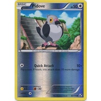 Pidove 84/114 BW Base Set Reverse Holo Common Pokemon Card NEAR MINT TCG