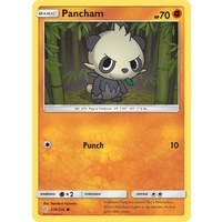 Pancham 119/236 SM Cosmic Eclipse Common Pokemon Card NEAR MINT TCG