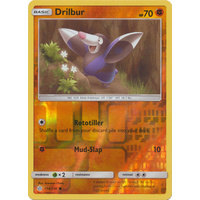 Drilbur 114/236 SM Cosmic Eclipse Reverse Holo Common Pokemon Card NEAR MINT TCG