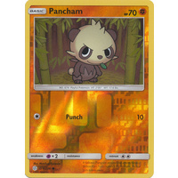 Pancham 119/236 SM Cosmic Eclipse Reverse Holo Common Pokemon Card NEAR MINT TCG