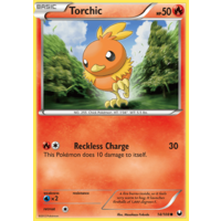 Torchic 14/108 BW Dark Explorers Common Pokemon Card NEAR MINT TCG