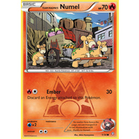 Team Magma's Numel 1/34 XY Double Crisis Common Pokemon Card NEAR MINT TCG