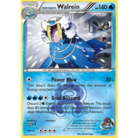 Team Aqua's Walrein 5/34 XY Double Crisis Holo Rare Pokemon Card NEAR MINT TCG