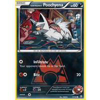 Team Magma's Poochyena 17/34 XY Double Crisis Common Pokemon Card NEAR MINT TCG