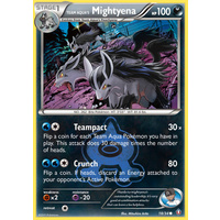 Team Aqua's Mightyena 18/34 XY Double Crisis Common Pokemon Card NEAR MINT TCG