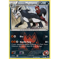 Team Magma's Mightyena 19/34 XY Double Crisis Common Pokemon Card NEAR MINT TCG
