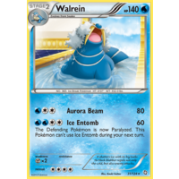 Walrein 31/124 BW Dragons Exalted Rare Pokemon Card NEAR MINT TCG