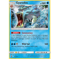 Gyarados 20/70 SM Dragon Majesty Holo Rare Pokemon Card NEAR MINT TCG