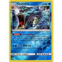 Gyarados 20/70 SM Dragon Majesty Reverse Holo Rare Pokemon Card NEAR MINT TCG