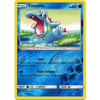 Totodile 22/70 SM Dragon Majesty Reverse Holo Common Pokemon Card NEAR MINT TCG