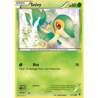 Snivy 5/124 XY Fates Collide Common Pokemon Card NEAR MINT TCG
