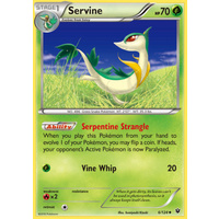 Servine 6/124 XY Fates Collide Uncommon Pokemon Card NEAR MINT TCG