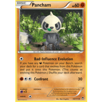 Pancham 59/111 XY Furious Fists Holo Common Pokemon Card NEAR MINT TCG