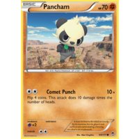 Pancham 60/111 XY Furious Fists Common Pokemon Card NEAR MINT TCG