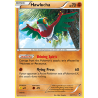 Hawlucha 63/111 XY Furious Fists Holo Rare Pokemon Card NEAR MINT TCG