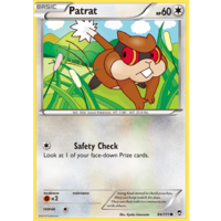 Patrat 84/111 XY Furious Fists Common Pokemon Card NEAR MINT TCG