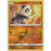 Pancham 65/131 SM Forbidden Light Reverse Holo Common Pokemon Card NEAR MINT TCG