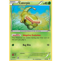 Caterpie 3/83 XY Generations Common Pokemon Card NEAR MINT TCG