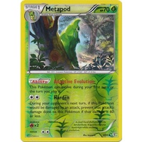 Metapod 4/83 XY Generations Reverse Holo Uncommon Pokemon Card NEAR MINT TCG