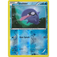 Shellder 19/83 XY Generations Reverse Holo Common Pokemon Card NEAR MINT TCG