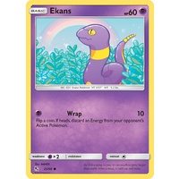Ekans 25/68 SM Hidden Fates Common Pokemon Card NEAR MINT TCG