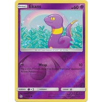 Ekans 25/68 SM Hidden Fates Reverse Holo Common Pokemon Card NEAR MINT TCG