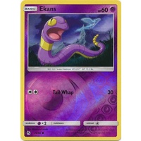 Ekans 26/68 SM Hidden Fates Reverse Holo Common Pokemon Card NEAR MINT TCG