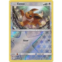 Eevee 49/68 SM Hidden Fates Reverse Holo Common Pokemon Card NEAR MINT TCG