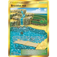 Brooklet Hill SV88/SV94 SM Hidden Fates Holo Full Art Shiny Secret Rare Pokemon Card NEAR MINT TCG