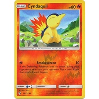 Cyndaquil 39/214 SM Lost Thunder Reverse Holo Common Pokemon Card NEAR MINT TCG