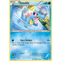 Totodile 15/119 XY Phantom Forces Common Pokemon Card NEAR MINT TCG