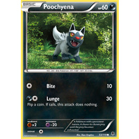 Poochyena 53/119 XY Phantom Forces Common Pokemon Card NEAR MINT TCG
